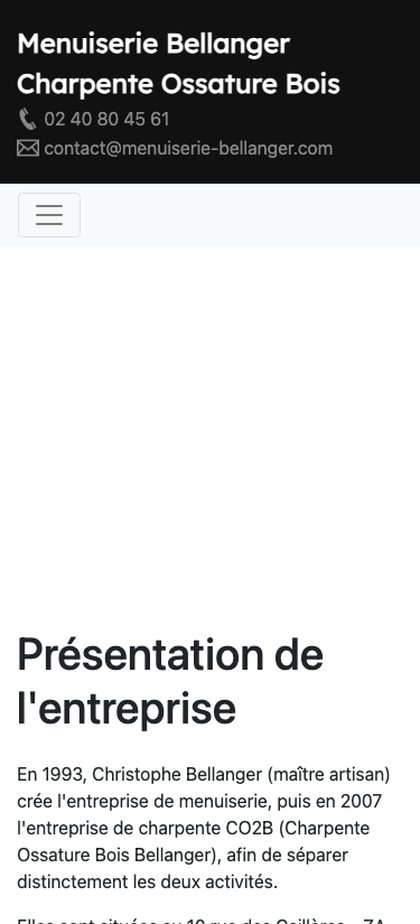 Capture du site actuel sur un écran de 375 px : mise en page adaptée au téléphone, texte seul, large zone vide sous le menu